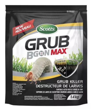 What are Grubs and How Bad are they for Your Lawn?