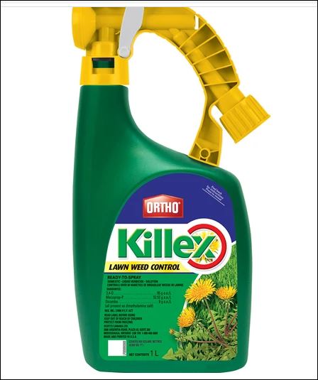 The Best Weather Conditions When Applying Weed Killer